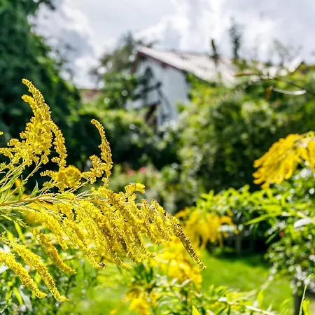 Kleebergerhofke 3* Malines