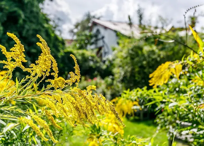 Kleebergerhofke 3* Мехелен