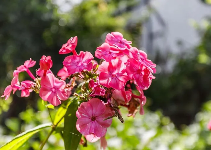 Bed & Breakfast Kleebergerhofke